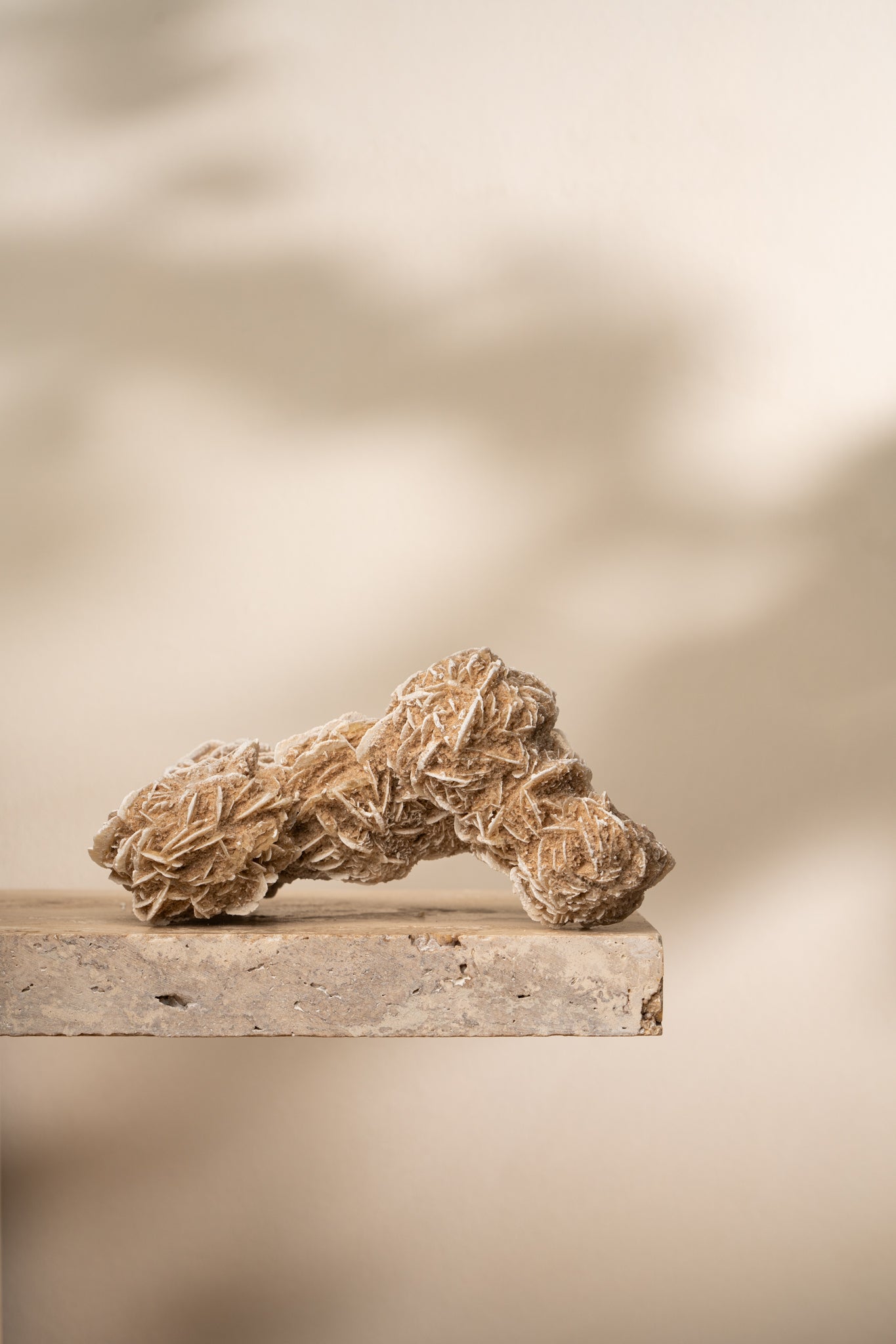 A unique Desert Rose Selenite cluster with intricate, layered formations resembling delicate rose petals in soft beige tones.