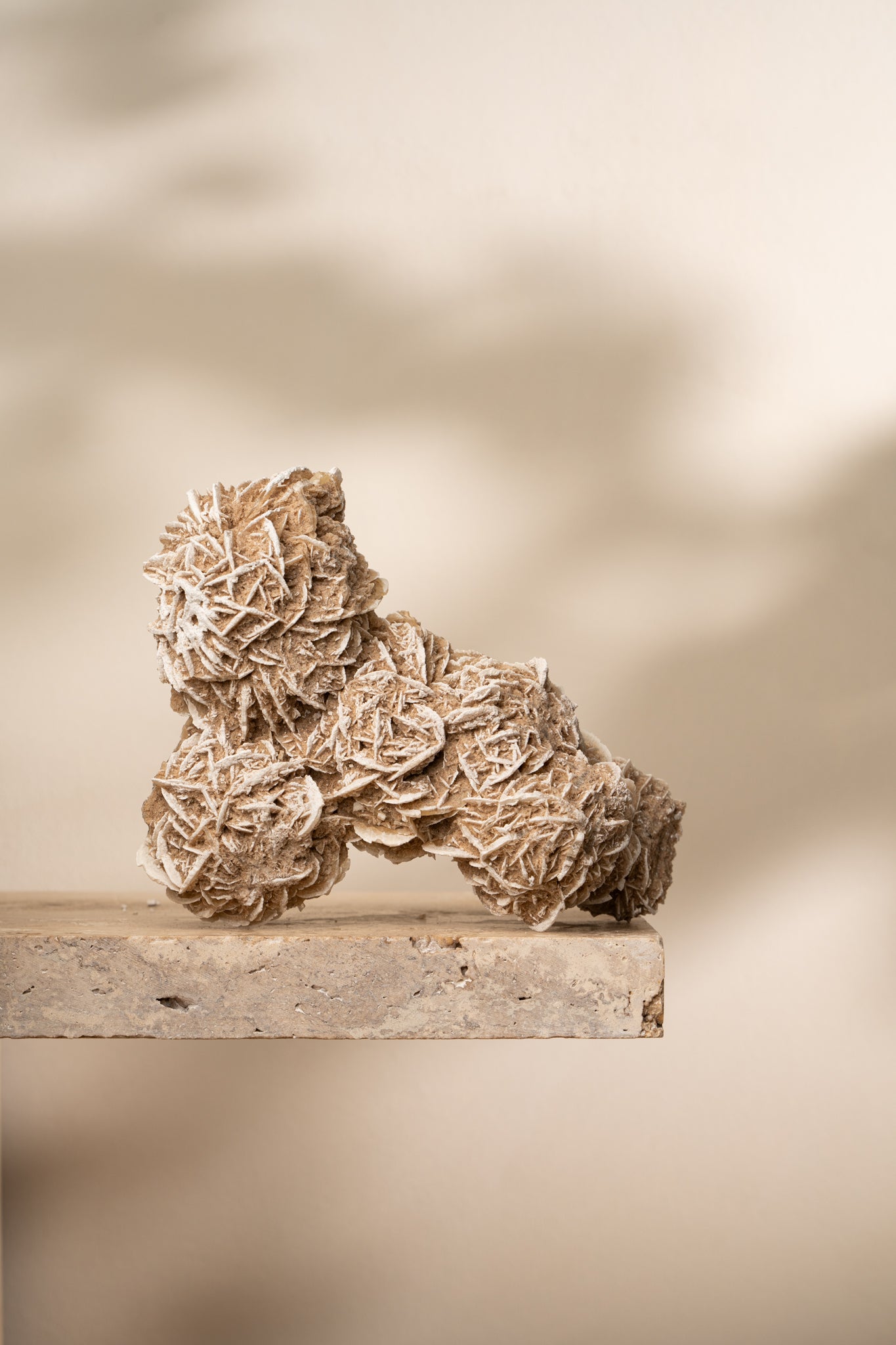 A unique Desert Rose Selenite cluster with intricate, layered formations resembling delicate rose petals in soft beige tones.